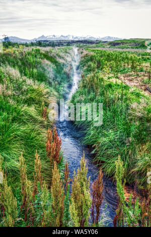 Geringe thermische Fluss in der Nähe von geothermischen Gewächshaus auf Island, Sommer Stockfoto