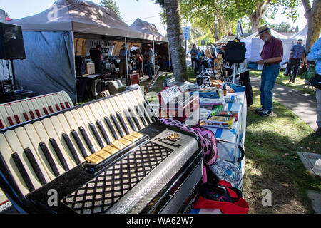 Akkordeons für Verkauf an den Cotati Akkordeon Festival, Sonoma County, Kalifornien. Stockfoto