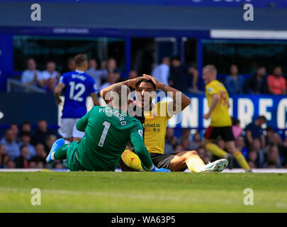 17. August 2019, Goodison Park, Liverpool, England; Premier League Football, Everton vs Watford: Troy Deeney (09) von Watford nicht glauben kann, daß Jordanien Pickford (01) der FC Everton seinen Schuss von Credit: Conor Molloy/News Bilder der Englischen Football League Bilder unterliegen DataCo Lizenz gespeichert hat. Stockfoto