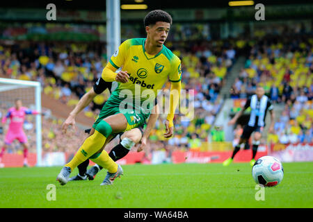 17. August 2019, Carrow Road, Norwich, England, Premier League, Fußball, Norwich City vs Newcastle United: Jamal Lewis (12) von Norwich City mit dem Ball Credit: Georgie Kerr/News Bilder der Englischen Football League Bilder unterliegen DataCo Lizenz Stockfoto