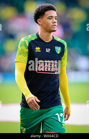 17. August 2019, Carrow Road, Norwich, England, Premier League, Fußball, Norwich City vs Newcastle United: Jamal Lewis (12) von Norwich City Credit: Georgie Kerr/News Bilder der Englischen Football League Bilder unterliegen DataCo Lizenz Stockfoto