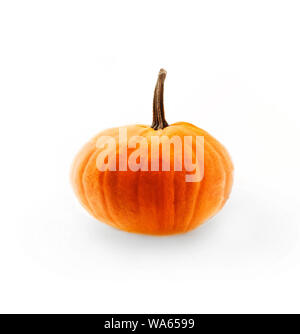 Frische reife Kürbis auf weißem Hintergrund. Herbst Ernte Objekt. Nahaufnahme Stockfoto