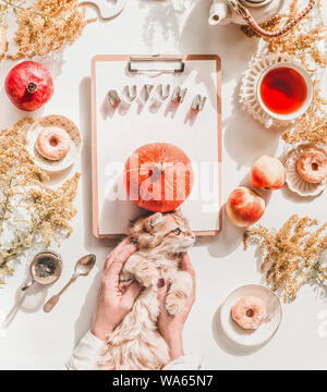 Gemütliche Herbst Tag flach. Faul Kätzchen in Frau Hände auf weißem Schreibtisch mit Zwischenablage und Wort Herbst, Kürbis, Äpfel, Mini Donuts, Gebäck, Teekanne, Schale Stockfoto