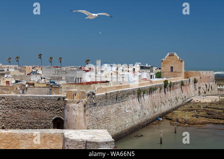 Stadtmauern der ehemaligen portugiesischen Kolonie Mazagan - heute Al Jadida. Stockfoto