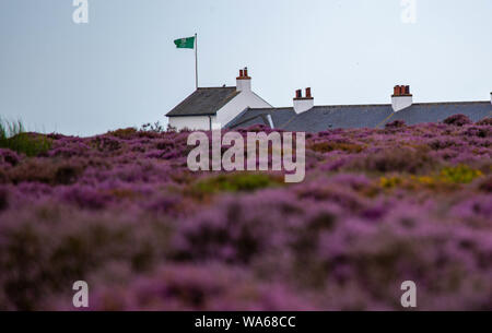 Coast Guard Cottages Dunwich Heath Stockfoto