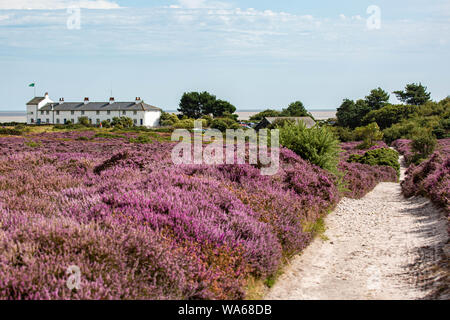 Coast Guard Cottages Dunwich Heath Stockfoto