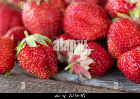Erdbeeren auf Holztisch. Saft, frische Erdbeere. Erdbeeren in natürlichen Hintergrund Stockfoto