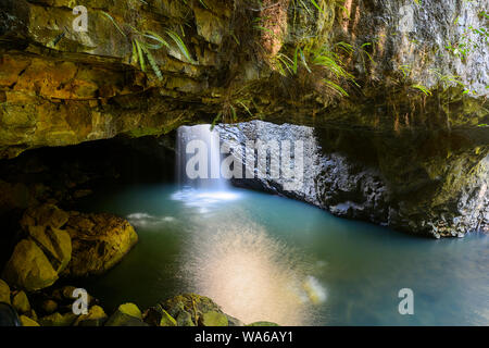 Wasserfall fließen in den ikonischen natürliche Brücke in Springbrook National Park, das Hinterland der Gold Coast, Queensland, Queensland, Australien Stockfoto