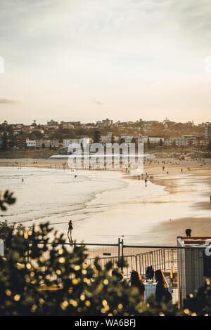 Sonnenuntergang über Bondi Beach an einem verschneiten Sonntag Nachmittag. Von Cow Park geschossen. Stockfoto