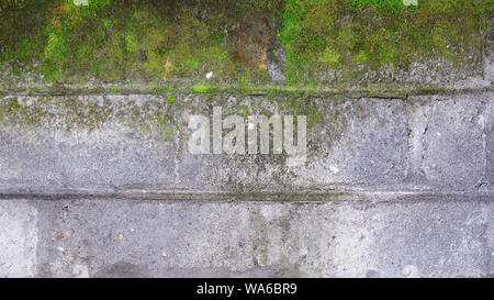 Alte bemoosten WallOld moosige Wand Stockfoto