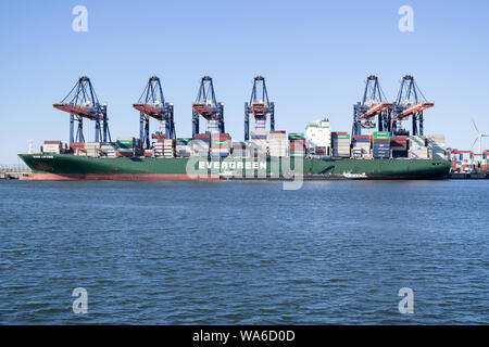 Je anheben am Euromax-terminal, Rotterdam. Immergrün mit Sitz in Taiwan ist eine globale containerisierte Fracht-unternehmen. Stockfoto