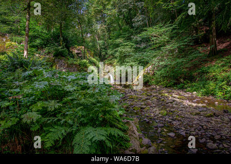 Kleiner Wasserfall aus der Ferne mit Sun genommen scheint es in einem üppigen Wald Einstellung die Stockfoto