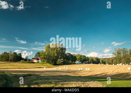 Schwedische Landschaft Feld Wiese mit trockenem Heu Ballen während der Ernte im sonnigen Abend. Ackerland mit Red Farm Barn in Dorf. Stockfoto