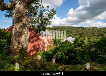 Fishguard, Wales, Großbritannien - 12.August 2019: Seitenansicht eines rosa Cottage in einer hügeligen Landschaft, Dyffryn Fernant Garten Stockfoto