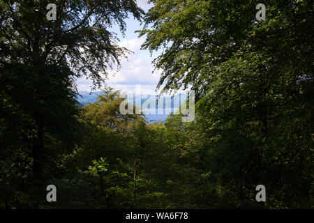 Blick auf Windermere auf und neben dem Wasser Stockfoto