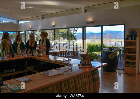 Frauen Vergnügen und eine gute Zeit Weinprobe in Tamar Ridge Kellertür, Rosevears Launceston Tasmanien, Australien Stockfoto