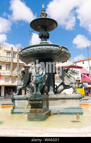 Portugal Porto Porto street scene Springbrunnen von Lions Fonte dos Leões Bronze Griffin greife Wasser Art déco-store Wolken Verkehrszeichen Lager Stockfoto