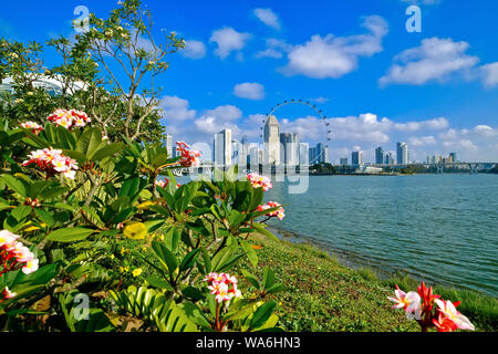 Blick von Gärten an der Bucht gegenüber der Marina Bay auf den Singapore Flyer (Riesenrad) und den Marina Square, Singapore Stockfoto