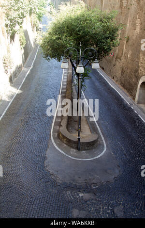 Niedrige Sicht auf Bäume in der Mitte der Via Luigi de Maio. Eine Haarnadelkurve führt nach Marina Piccola, Sorrento, Italien Stockfoto