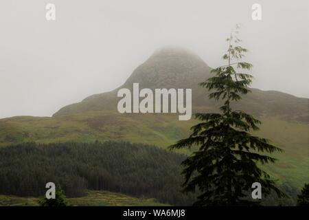 Im Glencoe National Nature Reserve. Tannenbaum und Berg, bei Regenwetter. Im Herzen der Highlands. Schottland, Großbritannien, Nord-westlichen Europa. Stockfoto