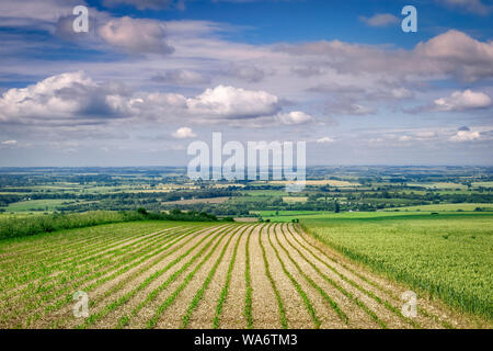 Blick über Lincolnshire Wolds Blick nach Westen von der, in der Nähe der Normanby le Wold. Stockfoto