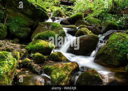 Wasser, das in den Fluss Stockfoto