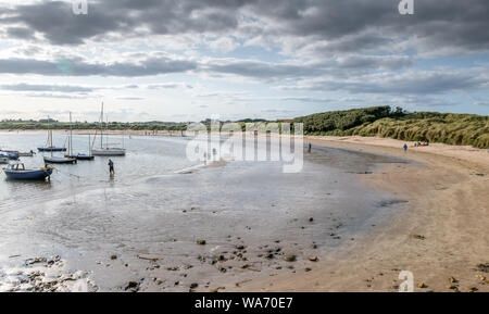 Beadnell Bay. Der Küste Strand an der Küste von Northumberland, England, Großbritannien Stockfoto