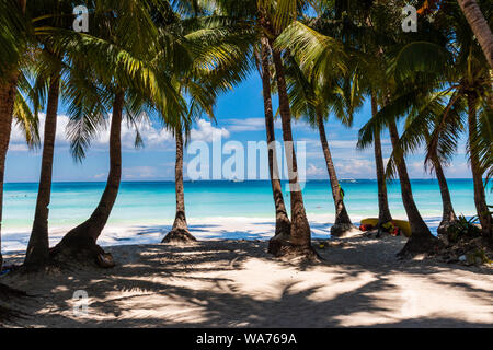 Palmen wachsen auf einer schönen, sandigen tropischen Strand neben einem seichten Meer (White Beach, Boracay) Stockfoto