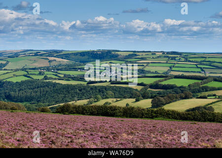 Wheddon Kreuz eingebettet in den Hügeln, in der Nähe von Exmoor Dunster, Somerset Stockfoto