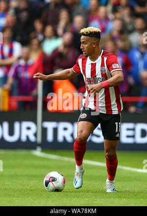 Sheffield, Großbritannien. 18. August 2019. Premier League Fußball, Sheffield United gegen Crystal Palace; Callum Robinson von Sheffield United - Streng redaktionelle Verwendung. Keine Verwendung mit nicht autorisierten Audio-, Video-, Daten-, Spielpläne, Verein/liga Logos oder "live" Dienstleistungen. On-line-in-Match mit 120 Bildern beschränkt, kein Video-Emulation. Keine Verwendung in Wetten, Spiele oder einzelne Verein/Liga/player Publikationen. Credit: Aktion Plus Sport Bilder/Alamy leben Nachrichten Stockfoto