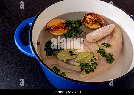 Gesundes Huhn Suppen Huhn mit Zutaten bereit zu kochen Stockfoto