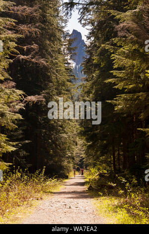 Zwei Wanderer Welle auf einem Waldweg in die Ferne führt, Berg über. North Cascades, WA, USA Stockfoto