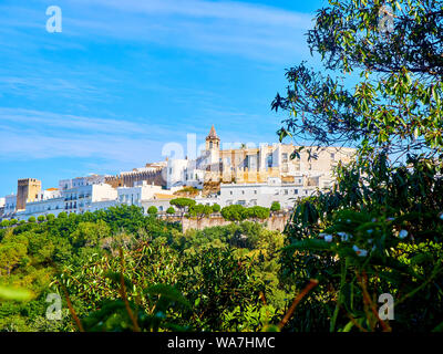 Eine Ansicht von Vejer de la Frontera Innenstadt, eine weisse Stadt auf einem Hügel. Vejer de la Frontera, Provinz Cadiz, Spanien. Stockfoto