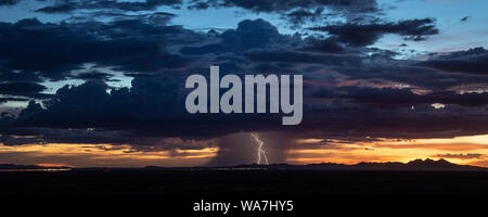 Blitze und Regentropfen von einem Monsun Gewitter bei Sonnenuntergang in der Nähe des Columbus, New Mexico, USA Stockfoto