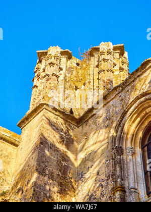 Detail der nordwestlichen Fassade des Divino Salvador Kirche. Vejer de la Frontera Stadtzentrum. Provinz Cadiz, Andalusien, Spanien. Stockfoto