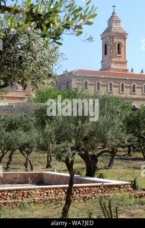 Die Kirche von Pater Noster auf dem Ölberg. Jerusalem. Israel. Stockfoto