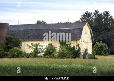 Eine alte Scheune lackiert blass gelb, sitzt in einem Feld in Indiana, USA Stockfoto