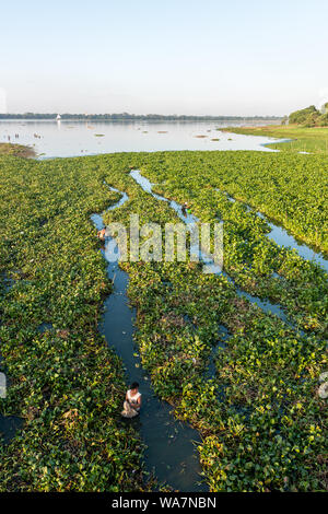 MANDALAY, MYANMAR - 03. Dezember 2018: Vertikale Bild der herrlichen Aussicht von der berühmten U-Bein Brücke, in Mandalay, Myanmar entfernt Stockfoto