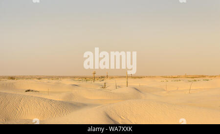 Endlose Dünen und Sand von beeindruckenden Wüste Sahara, Palmen und weichen Sonnenuntergang Himmel Stockfoto