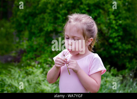 Kleine Mädchen in rosa blasen Flaum aus einem Löwenzahn Stockfoto