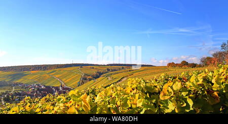 Volkach ist ein sehr bekanntes Weinanbaugebiet in Deutschland, Bayern, Franken Stockfoto