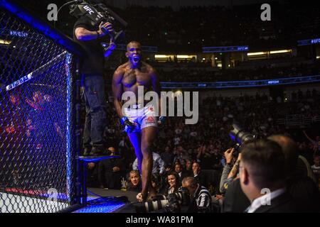 August 17, 2019, Anaheim, Kalifornien, USA: KHAMA WÜRDIG DEF DEVONTE SMITH DURCH TKO, 4:15, 1. Runde bei UFC 241 Am 17. August 2019. (Bild: © Dalton Hamm/ZUMA Draht) Stockfoto