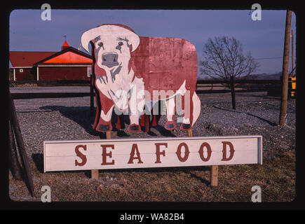 Stier Zeichen, Meeresfrüchte, Chittenango, New York Stockfoto