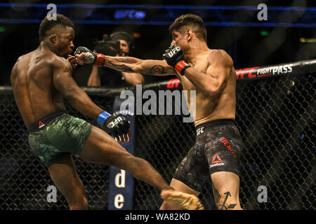 August 17, 2019, Anaheim, Kalifornien, USA: SODIQ YUSUFF DEF GABRIEL BENITEZ DURCH TKO, Runde 1, 4:14 bei UFC 241 Am 17. August 2019. (Bild: © Dalton Hamm/ZUMA Draht) Stockfoto