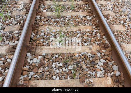 Detailansicht der älteren Schienen mit Unkraut. Konzept der Eisenbahn Wartung. Stockfoto