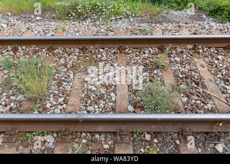 Detailansicht der älteren Schienen mit Unkraut. Konzept der Eisenbahn Wartung. Stockfoto