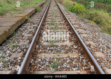 Detailansicht der älteren Schienen mit Unkraut. Konzept der Eisenbahn Wartung. Stockfoto