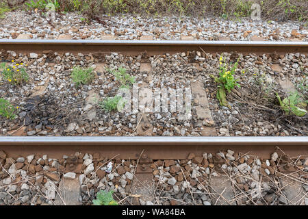 Detailansicht der älteren Schienen mit Unkraut. Konzept der Eisenbahn Wartung. Stockfoto