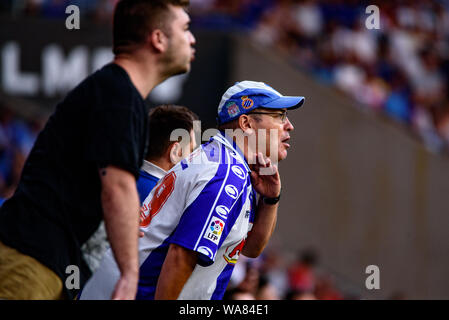 Barcelona, Spanien. 18 Aug, 2019. Unterstützer von Espanyol während des La Liga Match zwischen RCD Espanyol und Sevilla CF RCDE Stadion in Barcelona, Spanien. Credit: Christian Bertrand/Alamy leben Nachrichten Stockfoto