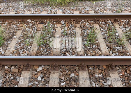 Detailansicht der älteren Schienen mit Unkraut. Konzept der Eisenbahn Wartung. Stockfoto